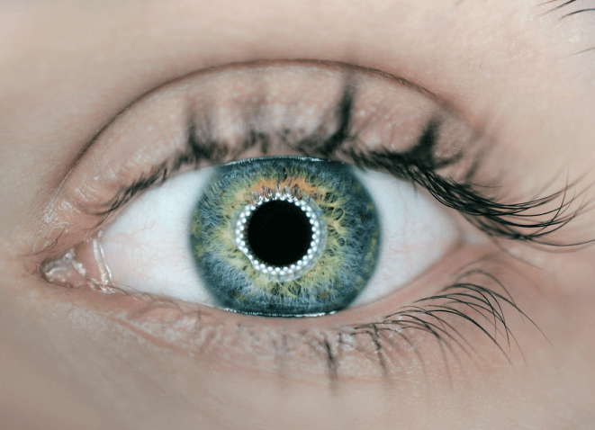 Communiquer avec les yeux à partir d'une commande oculaire